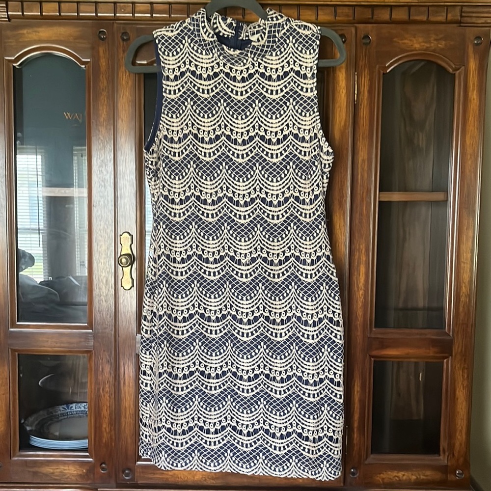 Tulle Navy and Cream Embroidered Lace Dress